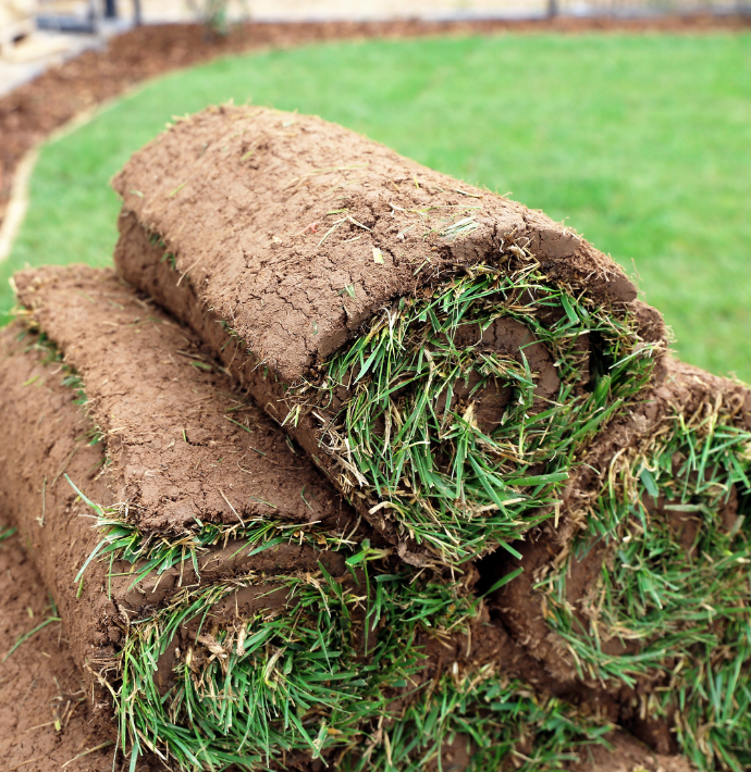 Eco-Conscious Methods