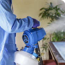 Cleaning Service